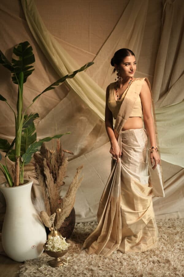Chaand Sitara Saree image 4