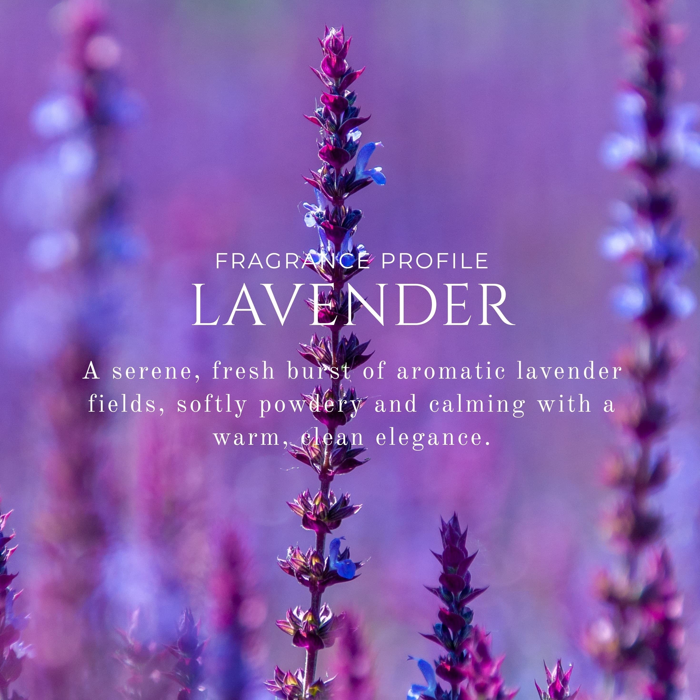 Solid Perfume Lavender image 3