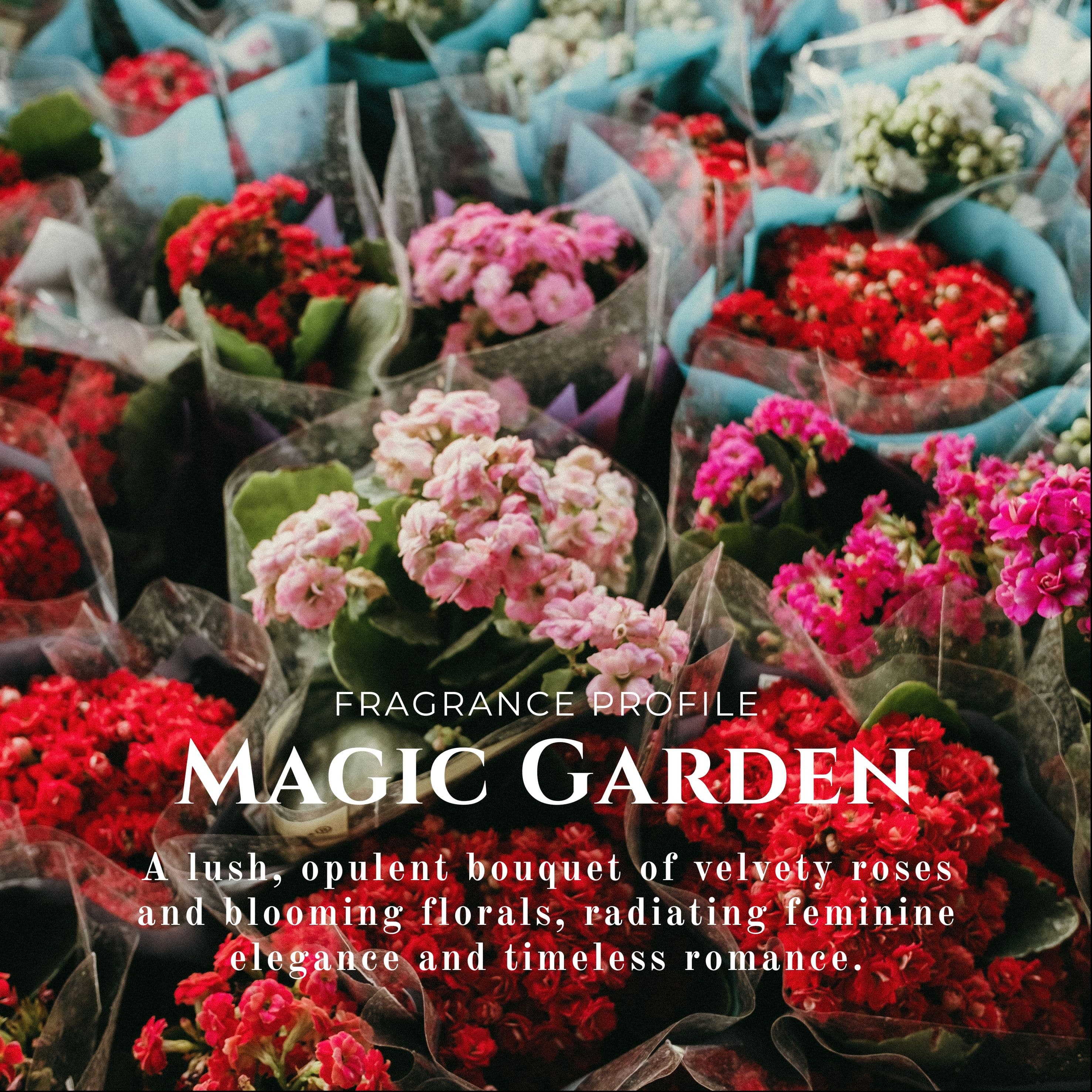 Solid Perfume Magic Garden image 3
