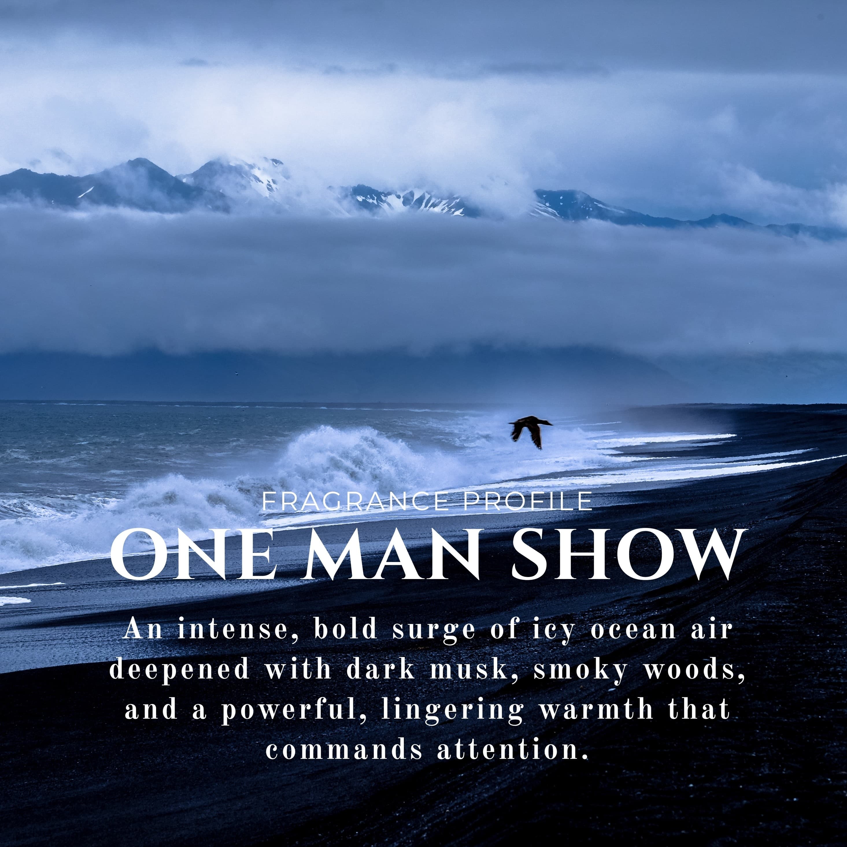 Solid Perfume One Man Show image 3
