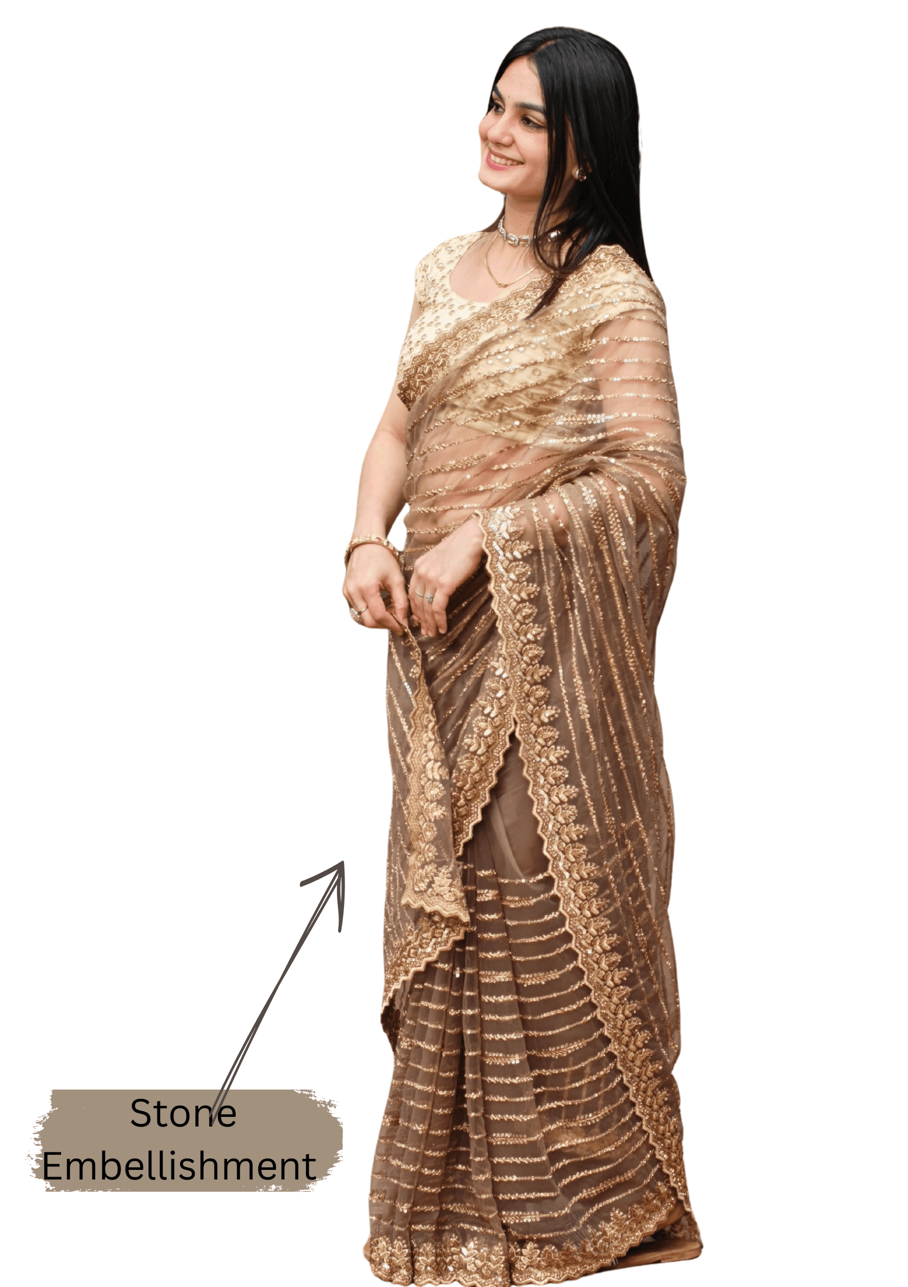 Ritual Styles Beige Stone Embellished Striped Designer Saree with Scalloped Embroidered Border image 2