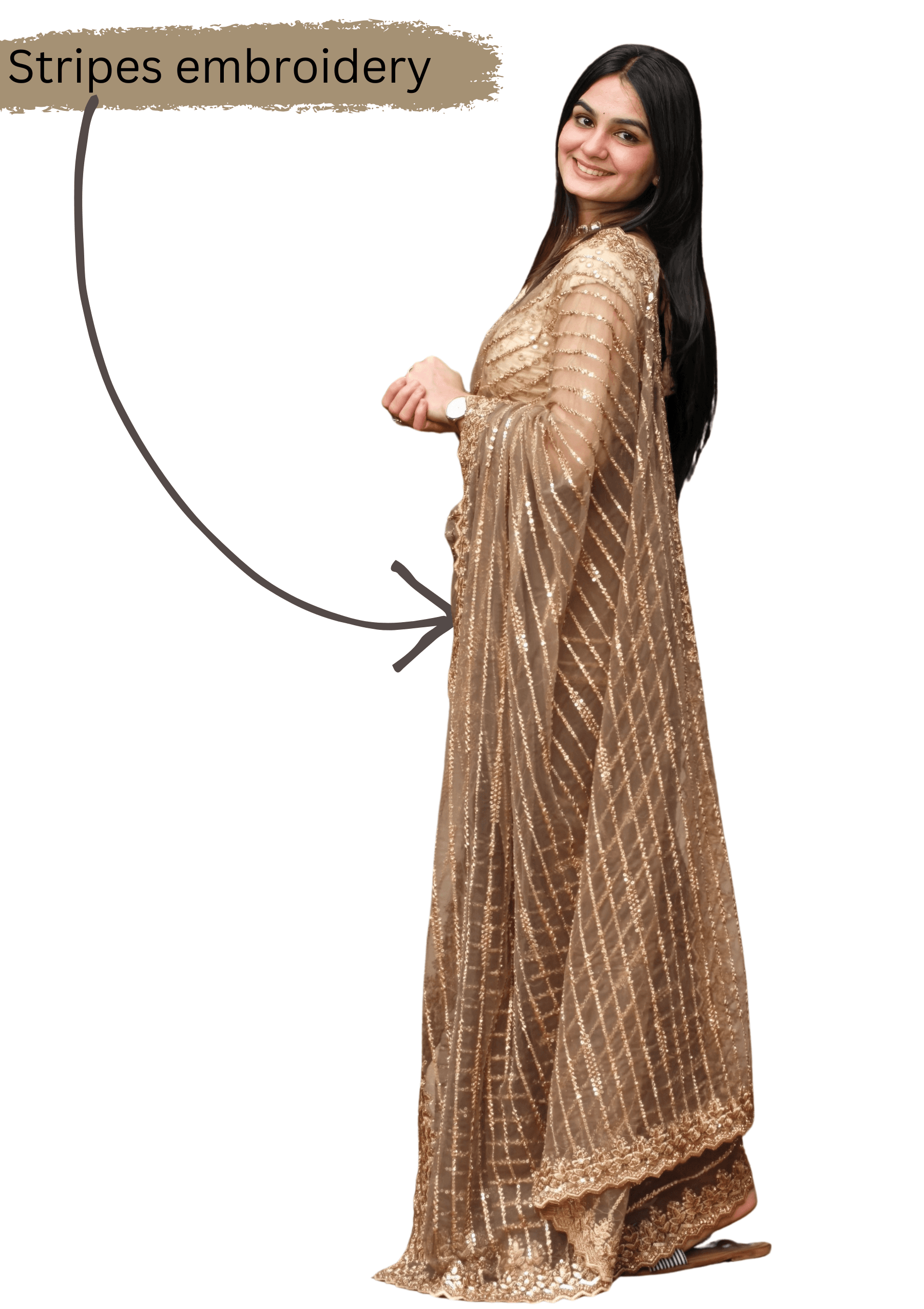 Ritual Styles Beige Stone Embellished Striped Designer Saree with Scalloped Embroidered Border image 4