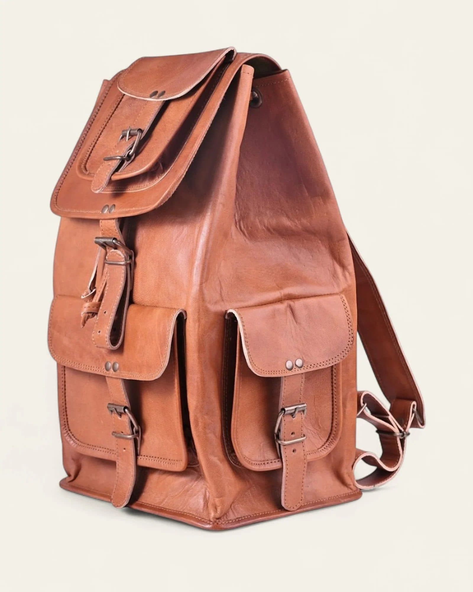 The Aravalli Backpack image 5