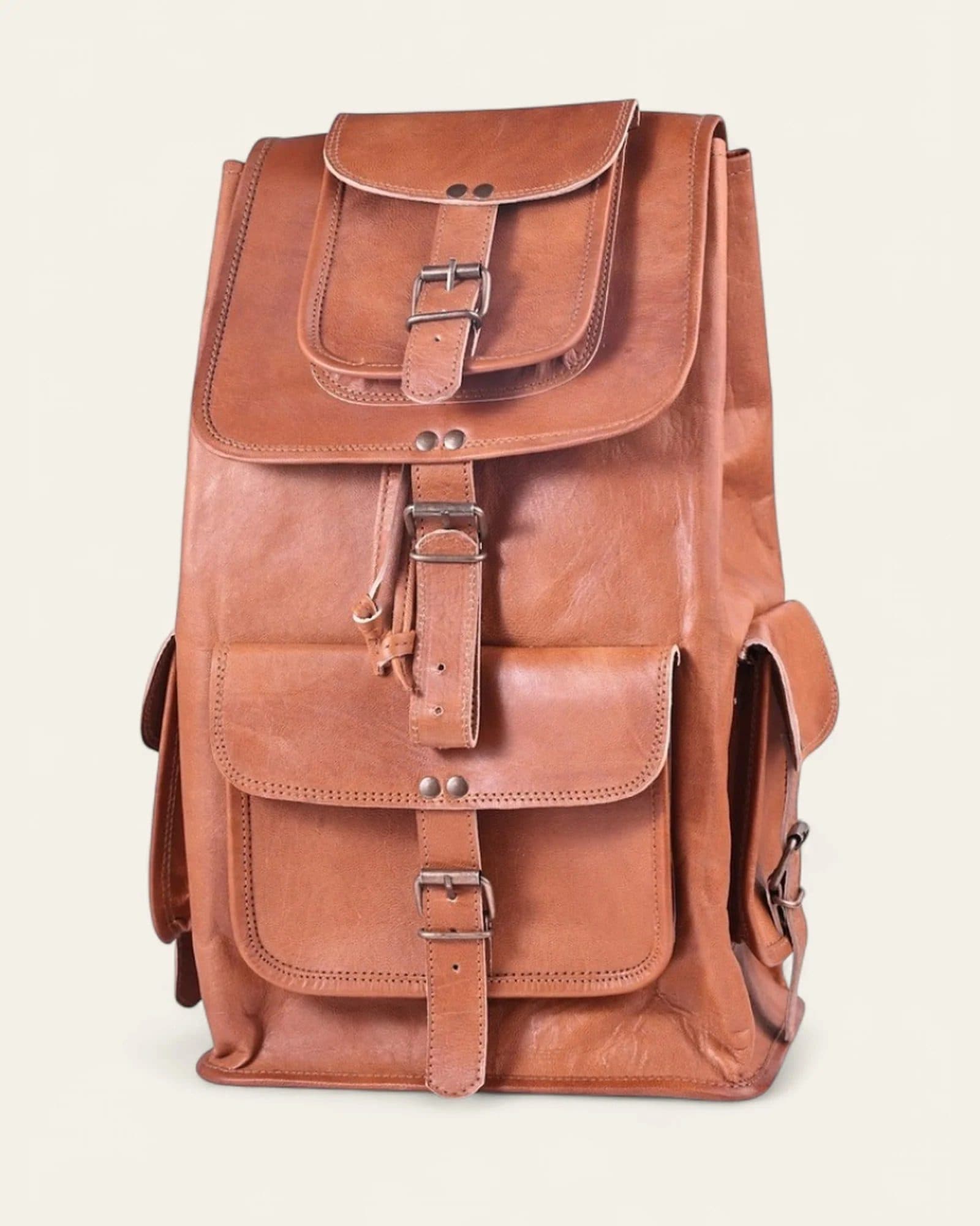 The Aravalli Backpack image 1