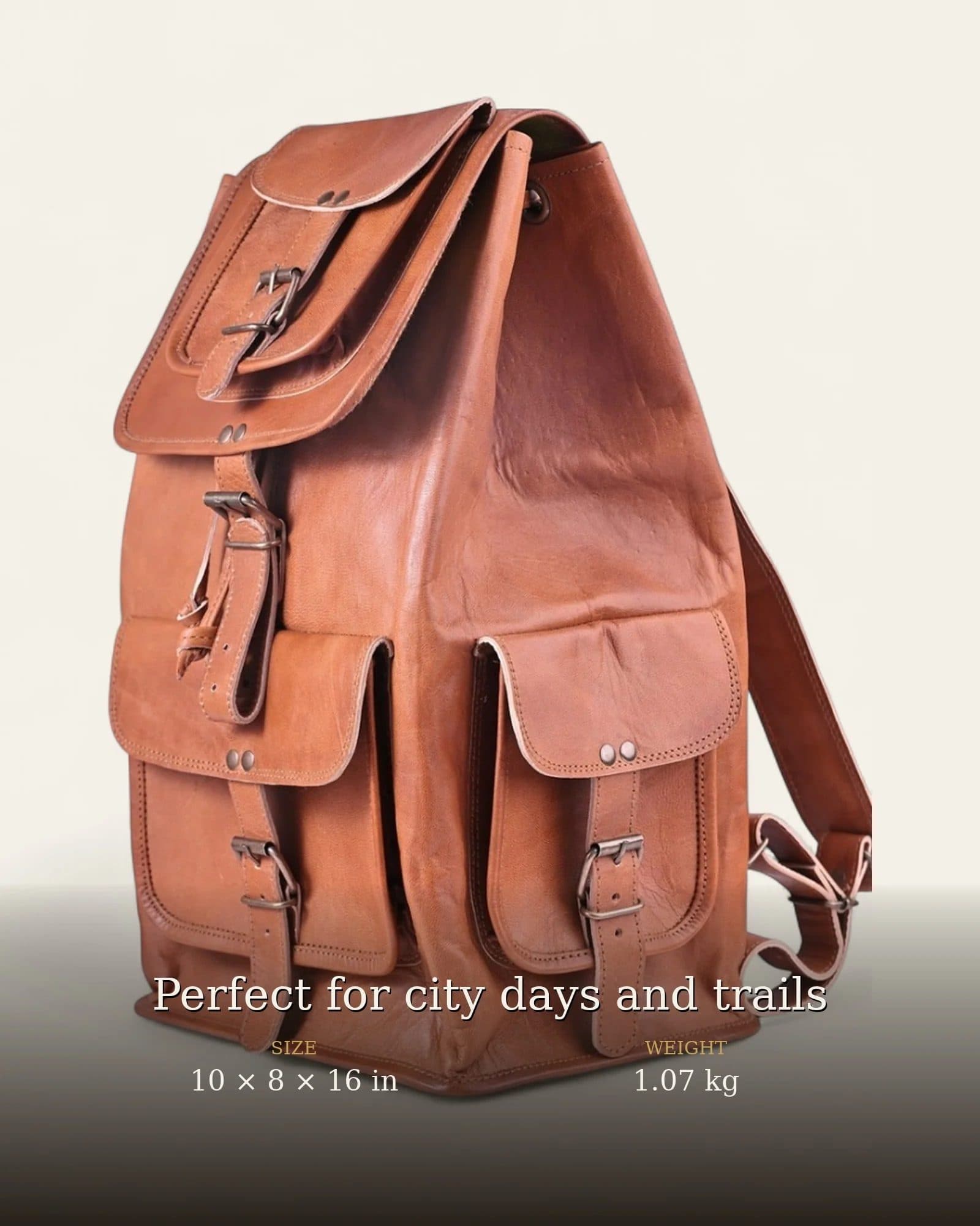 The Aravalli Backpack image 4