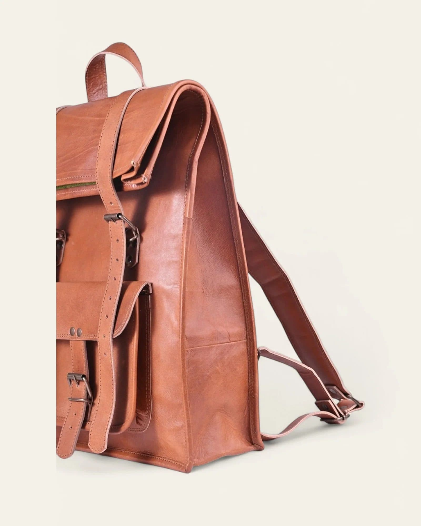 The Sariska Backpack image 5