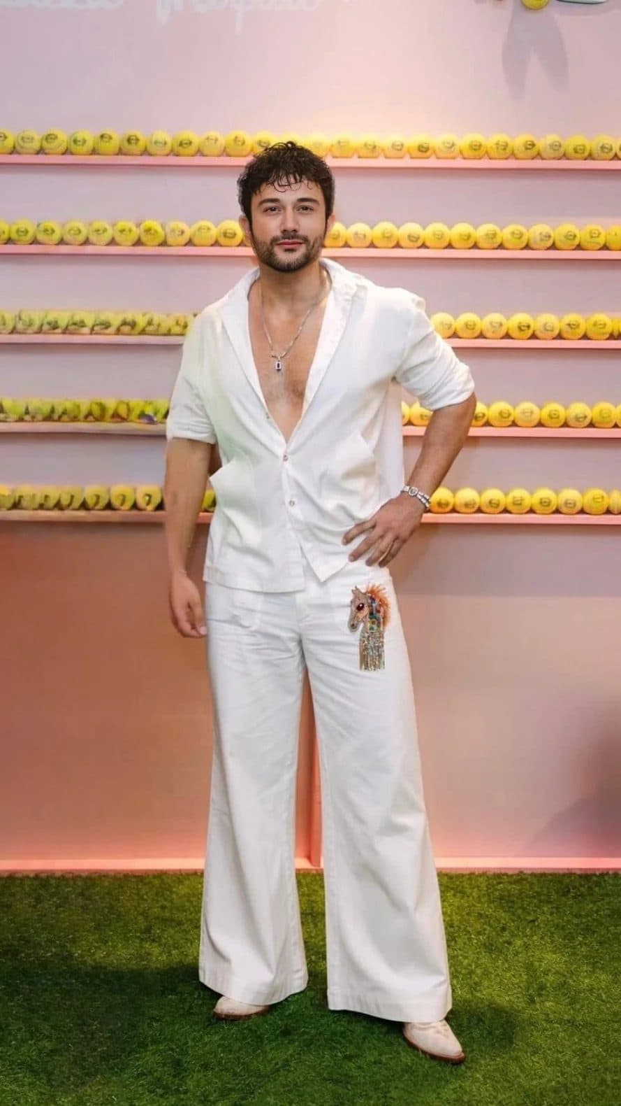 Safed Pants image 2