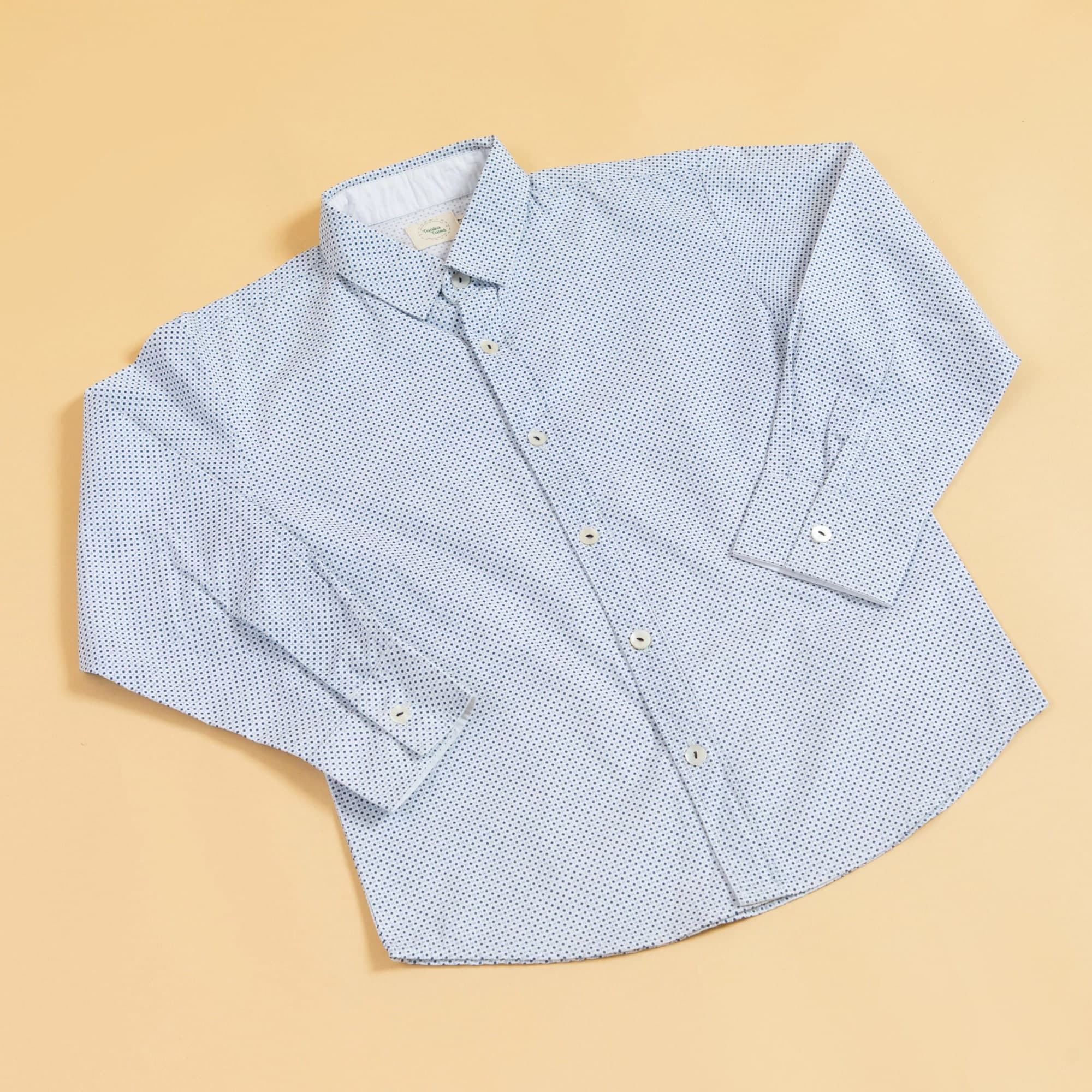 The Classic Charm Formal Dotted Shirt hover